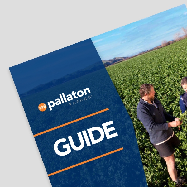 The essential grower toolkit for Pallaton Raphno®